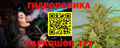 стафф Бийск