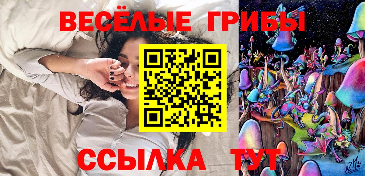 Каспийск  даркнет сайт  Вход с VPN  Псилоцибиновые грибы мухоморы 
